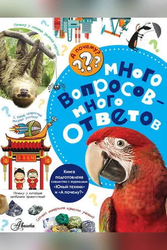Обложка книги «Много вопросов – много ответов»