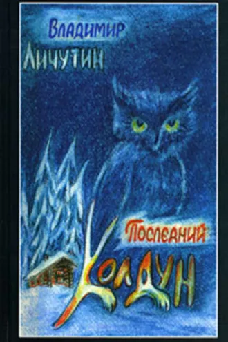 Обложка книги «Последний колдун»