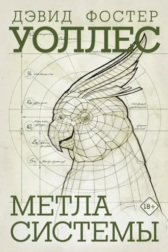 Обложка книги «Метла системы»
