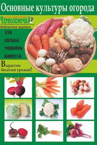 Обложка книги «Основные культуры огорода»