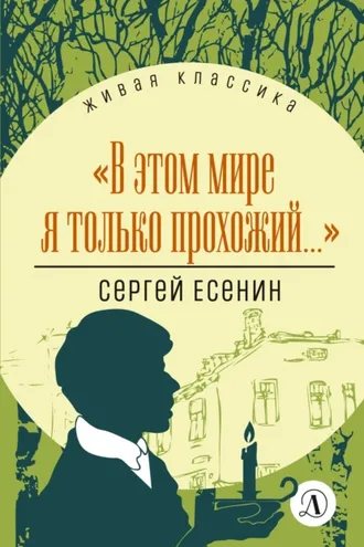 Обложка книги «В этом мире я только прохожий…»