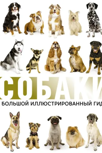 Обложка книги «Собаки. Большой иллюстрированный гид»
