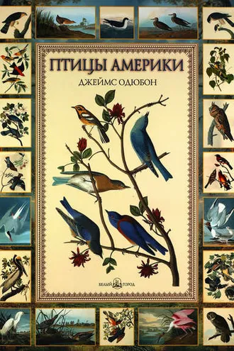 Обложка книги «Птицы Америки»