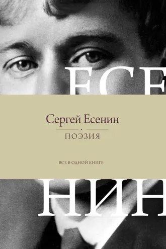 Обложка книги «Поэзия. Все в одной книге»