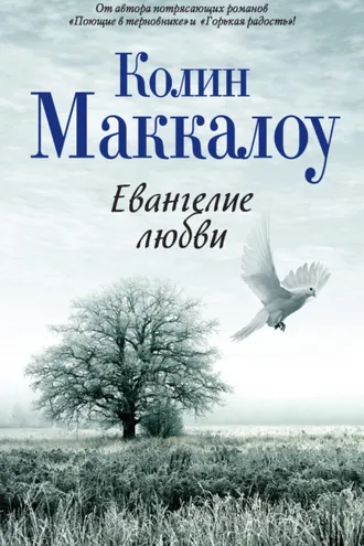 Обложка книги «Евангелие любви»