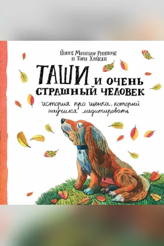 Обложка книги «Таши и Очень Страшный Человек. История про щенка, который научился медитировать»