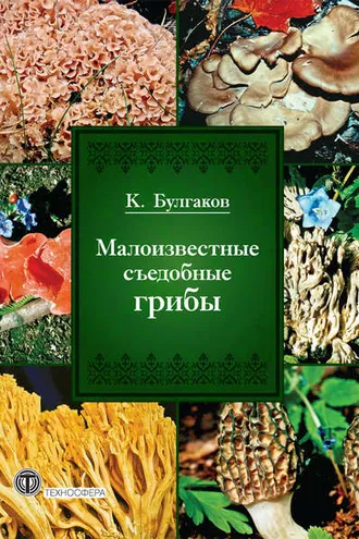 Обложка книги «Малоизвестные съедобные грибы»