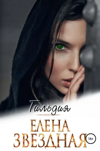 Обложка книги «Гильдия»