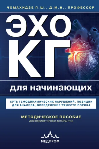 Обложка книги «Эхокардиография для начинающих. Суть гемодинамических нарушений, позиции для анализа, определение тяжести порока»