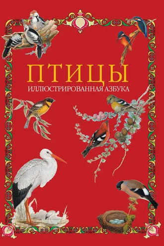 Обложка книги «Птицы. Иллюстрированная азбука»