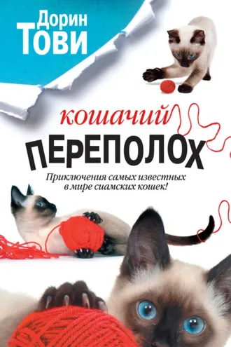 Обложка книги «Кошачий переполох (сборник)»