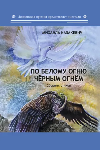 Обложка книги «По белому огню чёрным огнём»