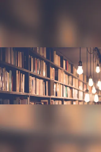 Обложка книги «Снобы»