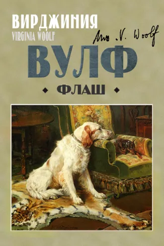 Обложка книги «Флаш»
