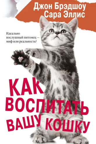 Обложка книги «Как воспитать вашу кошку»