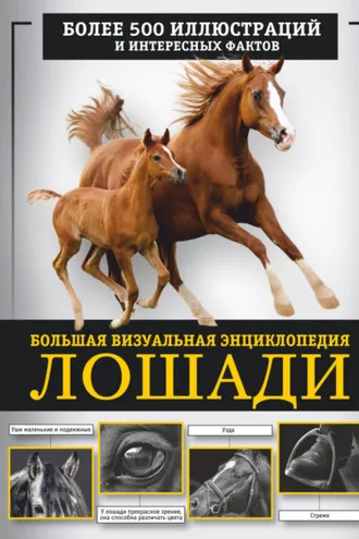 Обложка книги «Лошади. Большая визуальная энциклопедия»