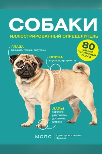 Обложка книги «Собаки. 80 самых популярных пород. Иллюстрированный определитель»