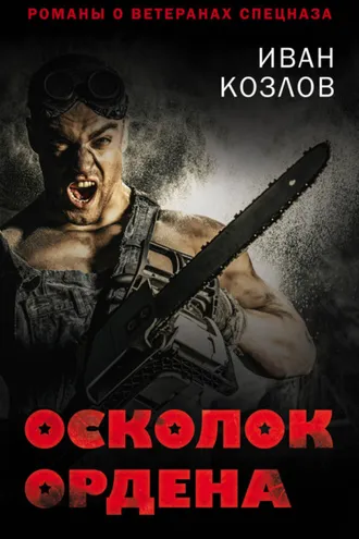 Обложка книги «Осколок ордена»
