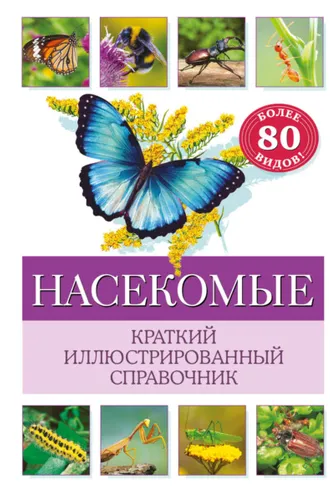 Обложка книги «Насекомые. Краткий иллюстрированный справочник»