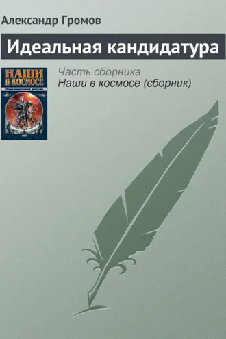 Обложка книги «Идеальная кандидатура»
