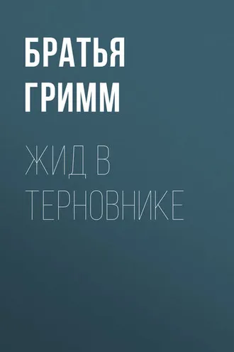Обложка книги «Жид в терновнике»