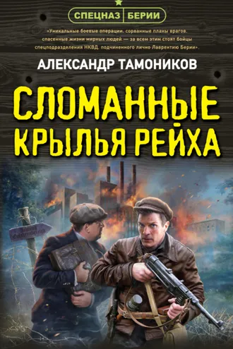 Обложка книги «Сломанные крылья рейха»