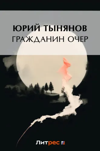 Обложка книги «Гражданин Очер»