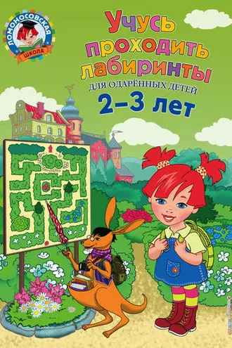Обложка книги «Учусь проходить лабиринты»