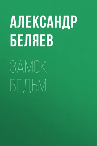 Обложка книги «Замок ведьм»