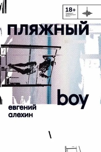 Обложка книги «Пляжный boy»