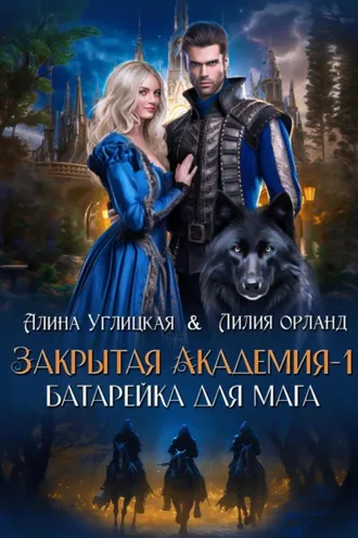 Обложка книги «Батарейка для мага»