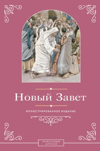 Обложка книги «Новый Завет. Иллюстрированное издание»