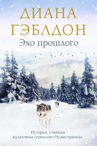 Обложка книги «Эхо прошлого»