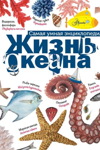 Обложка книги «Жизнь океана»