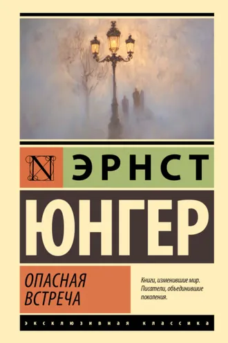 Обложка книги «Опасная встреча»