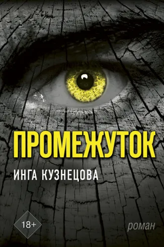 Обложка книги «Промежуток»