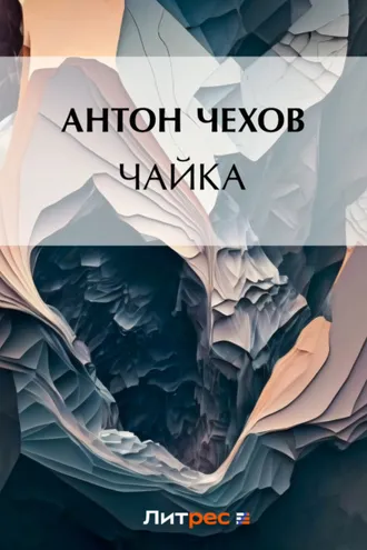 Обложка книги «Чайка»