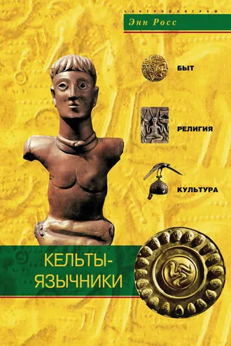 Обложка книги «Кельты-язычники. Быт, религия, культура»