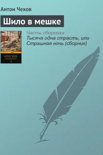 Обложка книги «Шило в мешке»