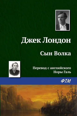 Обложка книги «Сын Волка»