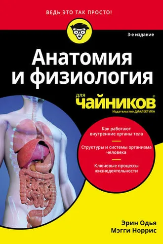 Обложка книги «Анатомия и физиология для чайников»