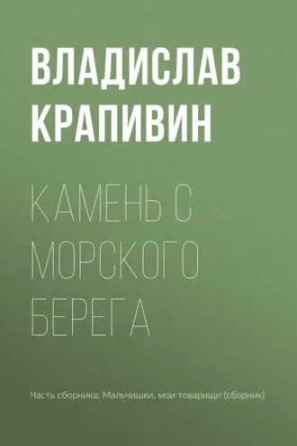 Обложка книги «Камень с морского берега»