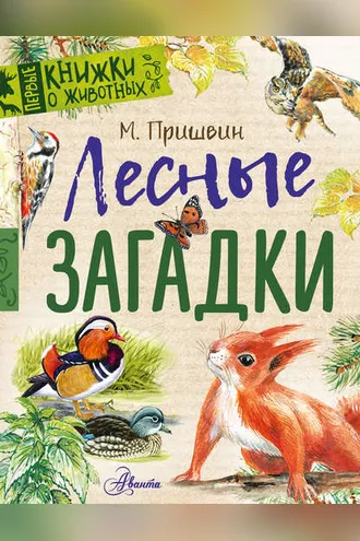 Обложка книги «Лесные загадки»