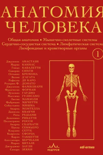 Обложка книги «Анатомия человека. Эксклюзивное издание с 50-летней историей. Том 1»