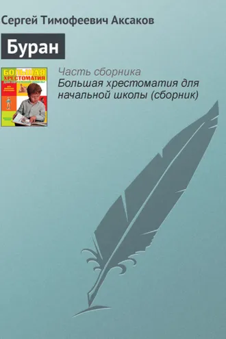 Обложка книги «Буран»