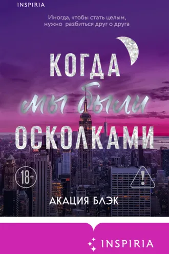 Обложка книги «Когда мы были осколками»