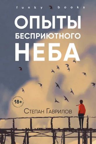 Обложка книги «Опыты бесприютного неба»