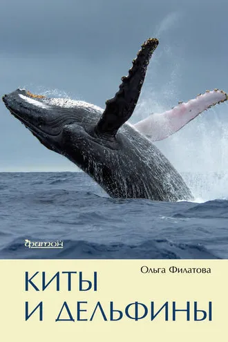 Обложка книги «Киты и дельфины»