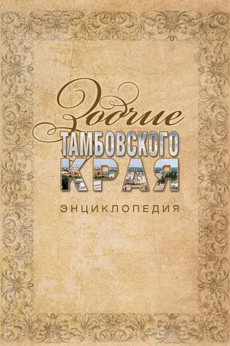 Обложка книги «Зодчие Тамбовского края»