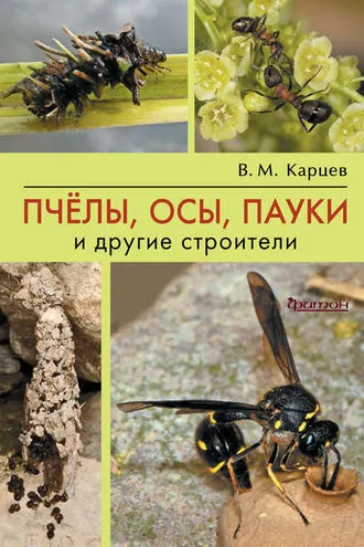 Обложка книги «Пчёлы, осы, пауки и другие строители»